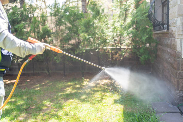 Bird Control in East Canton, OH